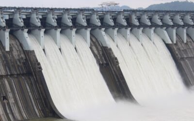 Renewable Energy PPA’s in India: A Kick at the Can or a Fly in the Ointment?