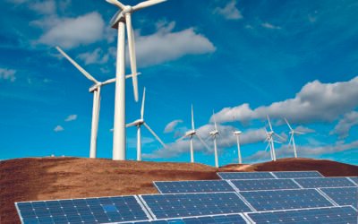 The Decline of Corporate Renewable PPAs in India: A Critique