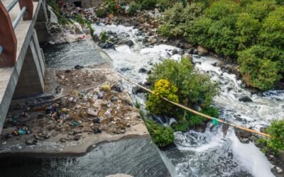 India, International Energy Law, and Transboundary Environmental Harms