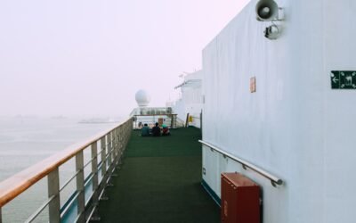 Recycling of Ships: The Environment and the Efforts to Mitigate the Impact on the Environment