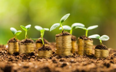 ‘Bond, Green Bond’: Examining the Regulation of Green Bonds in India