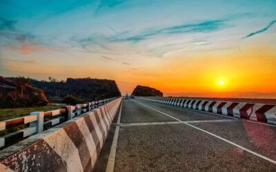 An Actor of Impediment: National Highways Authority of India and Environmental Impact Assessments in Highway Projects