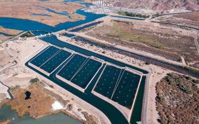 Understanding Land Reclamation: Impact on Domestic and International Projects