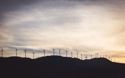 Energy Transition in Vietnam Market and Policy: An Outlook