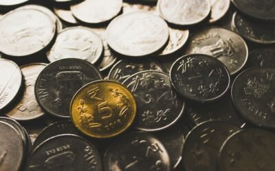 National Investment and Infrastructure Fund in India: A Comprehensive Critique