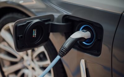 The Future of Sustainable Transport in India: Why Electric Vehicles May not be the Fix we Need