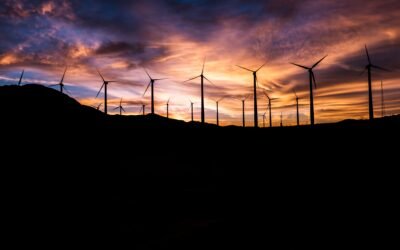 Trade, Power, and Sustainable Development Goals – discussing AfCFTA and IEX