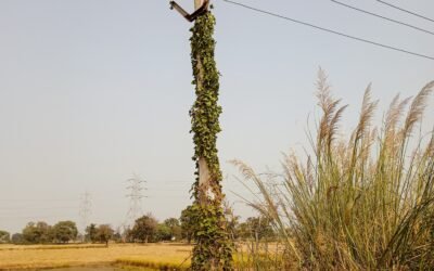 Paving Way for Alternate Dispute Resolution Mechanisms in the Indian Electricity Sector