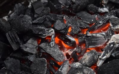 Coal Block Scam: The Legacy Continues