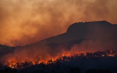 Analysing the Role of Indigenous Communities and Traditional Knowledge in Climate Change and Energy Innovation